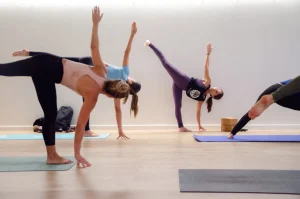 formacion de hatha vinyasa yoga postura Vasisthasana yoga asana clases online lunes martes miercoles viernes en barcelona Maestra Priya Sugandh yoga asana clases y formaciones 200h online yoga hatha vinyasa escuela Yoga Alliance Oficial